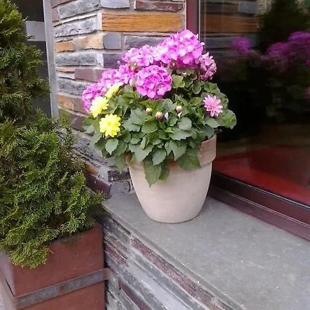 Montane Hotel